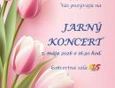 jarny koncert  4