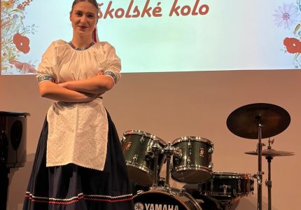 slavik 01