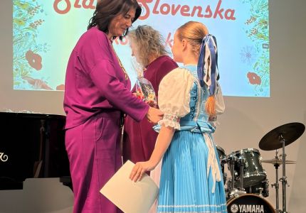 slavik 01