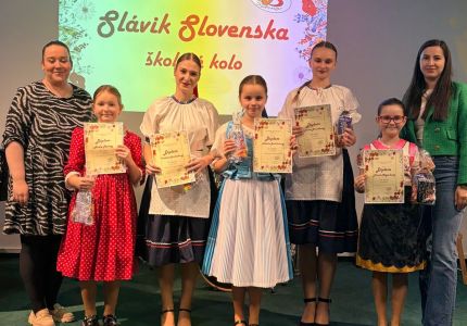 slavik 01